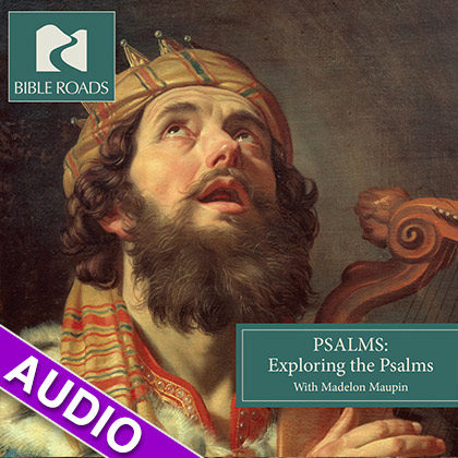 BR Psalms Audio