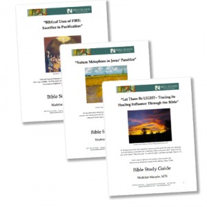 Sustainability pdf download