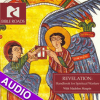 revelation cd cover audio