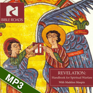 revelation cd cover mp3