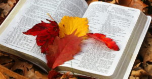 bible fall leaves 1200.1200w.tn