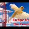 3 Helpful Doors into the 91st Psalm escape from fowler