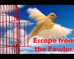 3 Helpful Doors into the 91st Psalm escape from fowler