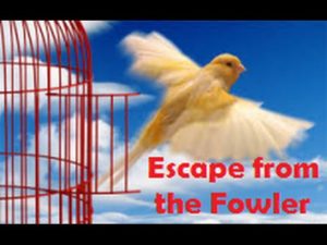 escape from fowler