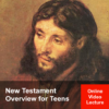 New Testament for Teens Image