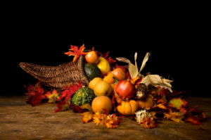 A cornucopia of vegetables, plants and riches for Thanksgiving